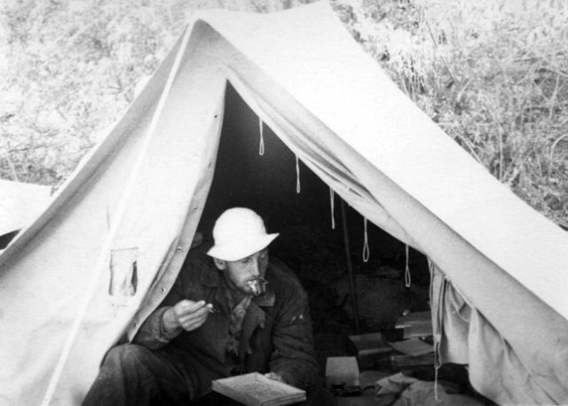 saur19653.jpg