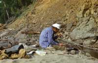 collecting_fossils_small.jpg