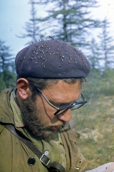 yantardakh2.jpg