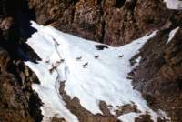 pamir11_small.jpg